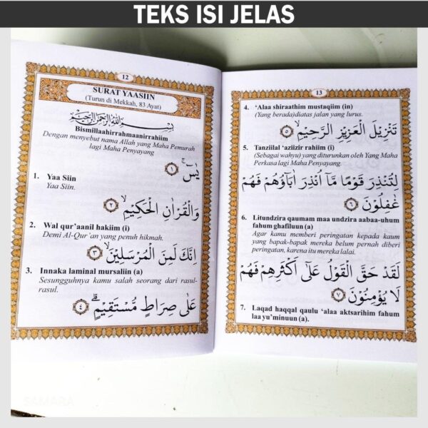 SOFT COVER TULIP - Gambar 3